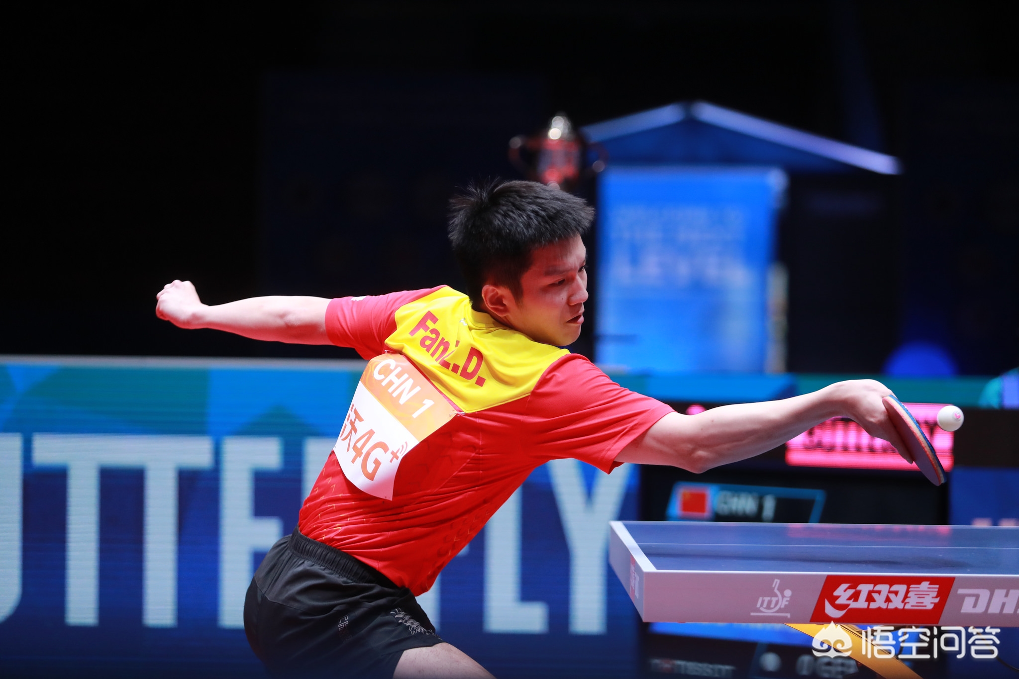 的欢呼声 的欢呼声