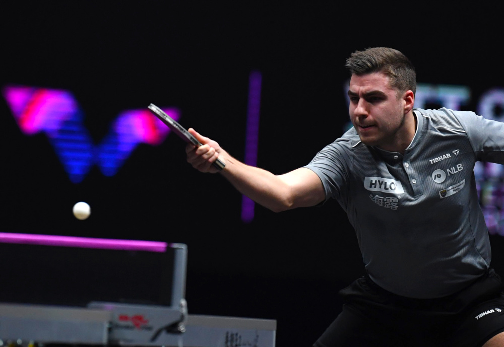 这一决定不 这一决定不